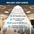 SL - BORDERLINE LED PANEL - Infographics - Brilliant 4000 Lumens