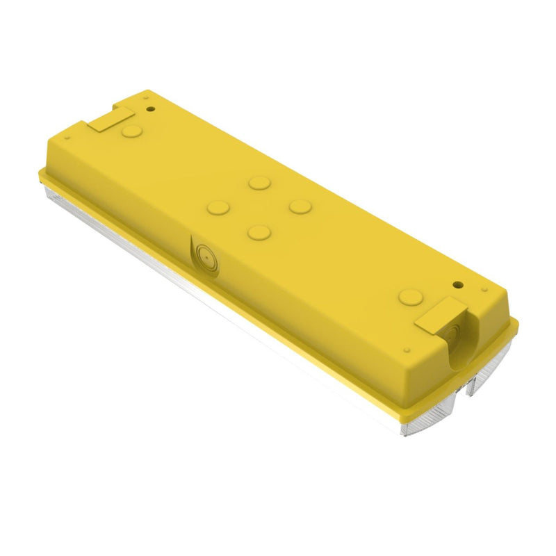 ExitGuardian™ Emergency Bulkhead - 110V Site Light Maintained/Non-Maintained IP66 150lm 3hr (angle 2)