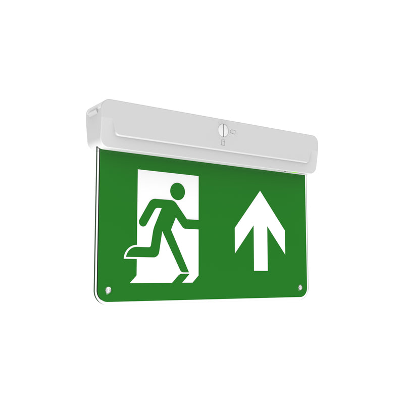 ExitGuardian™ Emergency Exit Sign - AutoTest Maintained or Non-Maintained 30M 3hr (angle 1)