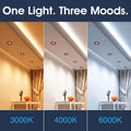 Simple Lighting - FR420-CCT-R - Infographics - One Light. Three Moods.