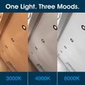 Simple Lighting - FR421-CCT-BLACK - Infographics - One Light. Three Moods