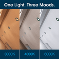 Simple Lighting - FR421-CCT-G - Infographics - One Light. Three Moods