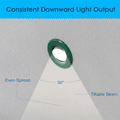 Simple Lighting - FR421-CCT-G - Infographics - Consistent Downward Light Output