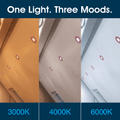 Simple Lighting - FR421-CCT-P - Infographics - One Light. Three Moods