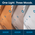 Simple Lighting - FR421 - Infographics - One Light. Three Moods