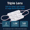 Lighteez - Module-3-65K - Infographics - Triple Lens