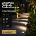 Simple Lighting - OD-112-NW - Infographics - Define Paths, Planting and Outdoor Features