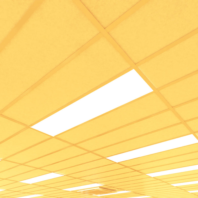 Simple Lighting - PAN 1230 LED Panel Light - A grid ceiling with multiple warm long LED panels installed in uniform intervals.