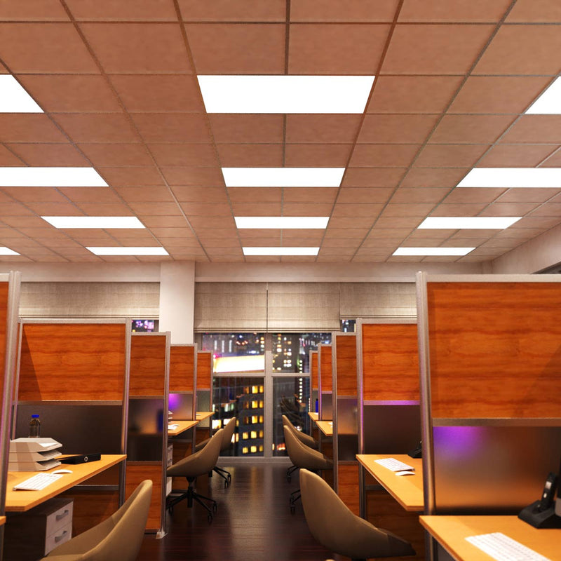 Simple Lighting - Pan 1260 LED Panel Light - Multiple LED panel lights illuminating an office space.