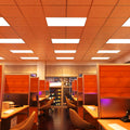 Simple Lighting - Pan 1260 LED Panel Light - Warm white LED panel lights over multiple office desks.