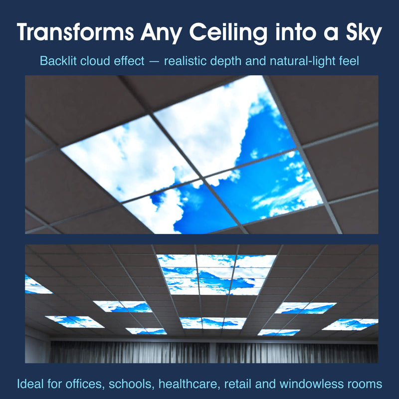 SL - PAN-SKY-6 - Infographics - Transforms Any Ceilings into a Sky