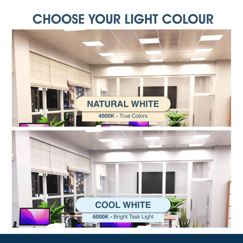 SL - 600x600 LED Panel - Infographics - Choose Your Light Colour
