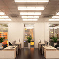 Full shot of an office with mounted 60w LED battens (150cm) with natural white light