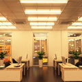 Full shot of an office with mounted 60w LED battens (150cm) with warmwhite light