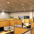 mid shot of an office with natural white LED panel lights