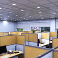 mid shot of an office with cool white LED panel lights
