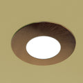 close up shot of a mounted warm white brushed chrome downlight