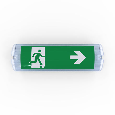Emergency LED Bulkhead light