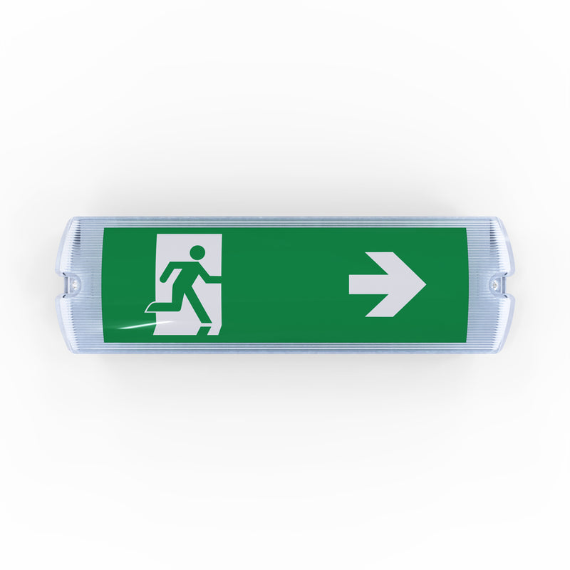 Emergency LED Bulkhead light