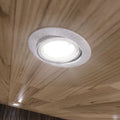 mounted brushed chrome fire-rated downlight
