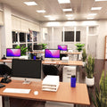 full shot of an office with natural white light