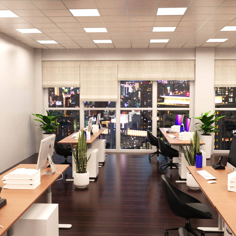 full view of an office with natural white light