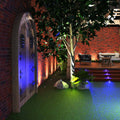Garden with a spike light pointed at a tree