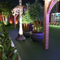 mid shot of a garden with spike light pointing to a tree