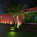 Full shot of a garden with a spike light pointed at a tree