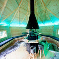 Green LED Tape/Strip Light - 5w Per Metre