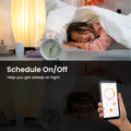 Scheduled on/off setting with your app