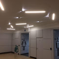 Full shot of a ceiling with LED tapes in natural white light