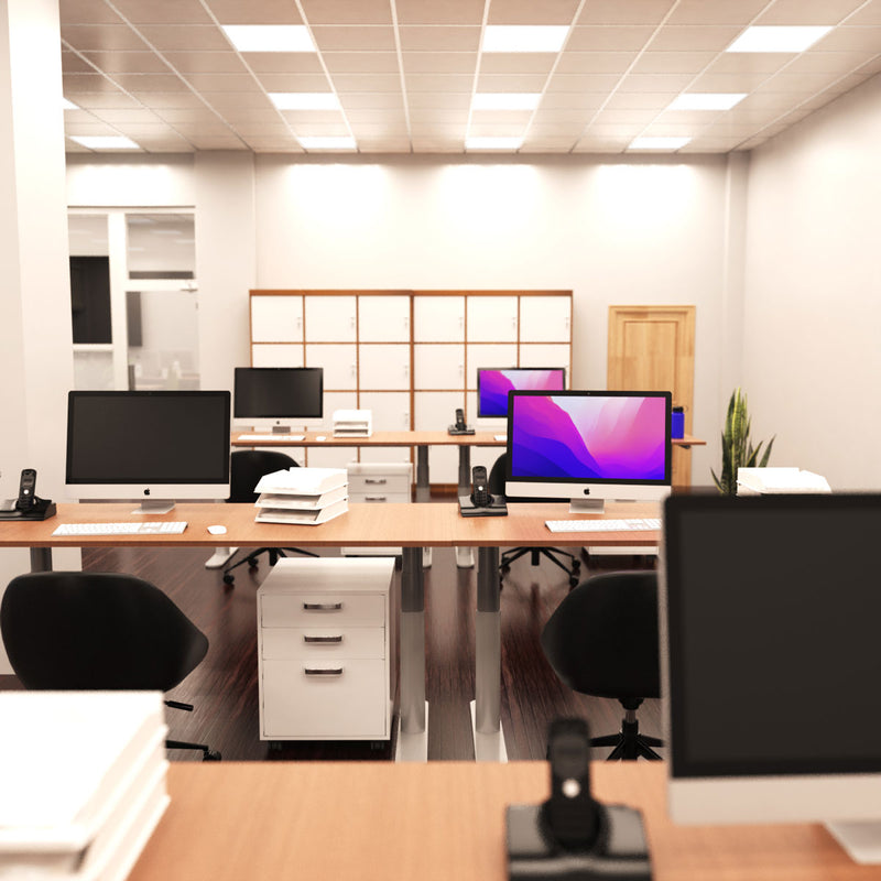 mid shot of an office with natural white light