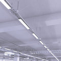 hanging cool white LED battens