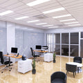 office space with mounted 1200 x 300mm led panel lights in cool white light
