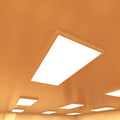 ceiling that has surface mounted LED panels with warm white light