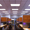 front shot of an office with cool white LED panels