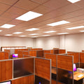 side top shot of an office with natural white LED panels