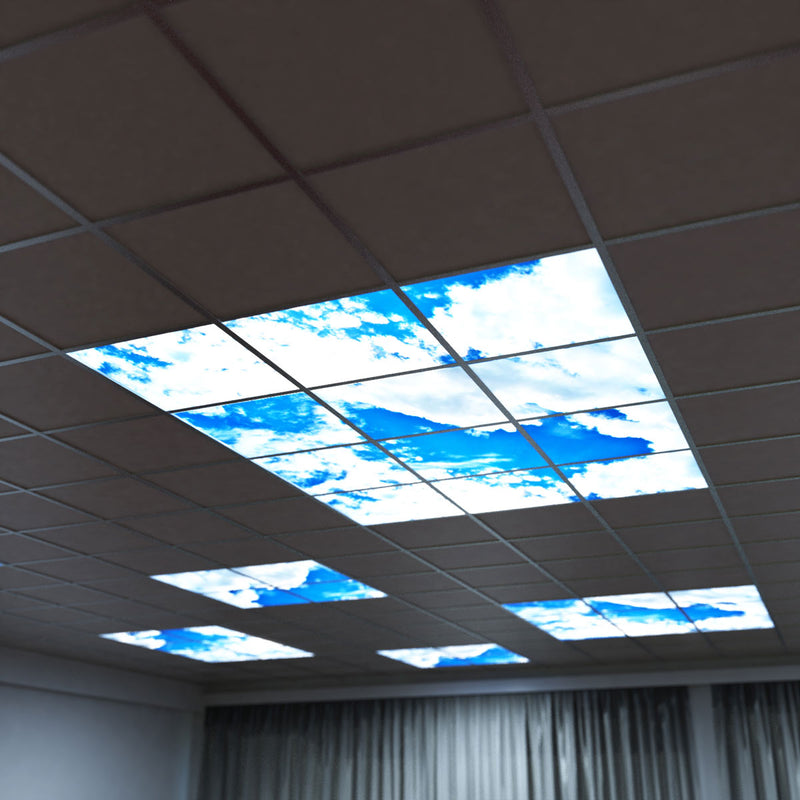 mid shot of skylight LED panels