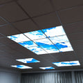 mid shot of skylight LED panels