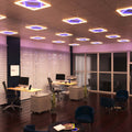 office with warm white edge lit LED panel