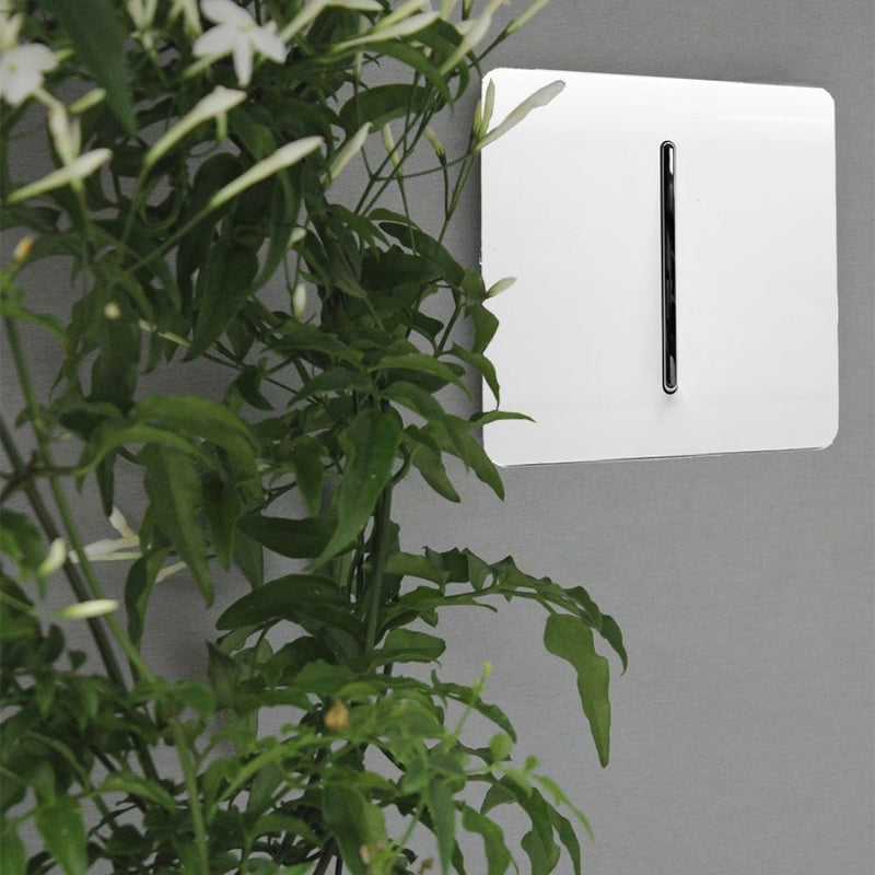 1 gang light switch in white mounted on a wall next to a plant