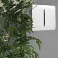 1 gang light switch in white mounted on a wall next to a plant