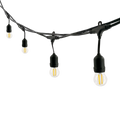 A festoon string light with four filament-style LED lamps hanging from the wires, white background.