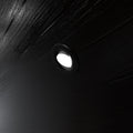 mounted black CCT tilt LED downlight