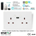 double socket smart switch with USB port with tech specs