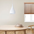 mounted White Teardrop LED Pendant Light
