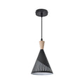 Cone-Shaped Ceiling Pendant Light with a Black Finish
