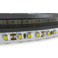 10w Cool White LED Tape - 120 LEDs P/M - 6000K