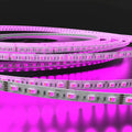 LED Tape, RGBW 19.2w P/M, 60 LEDs Warm White